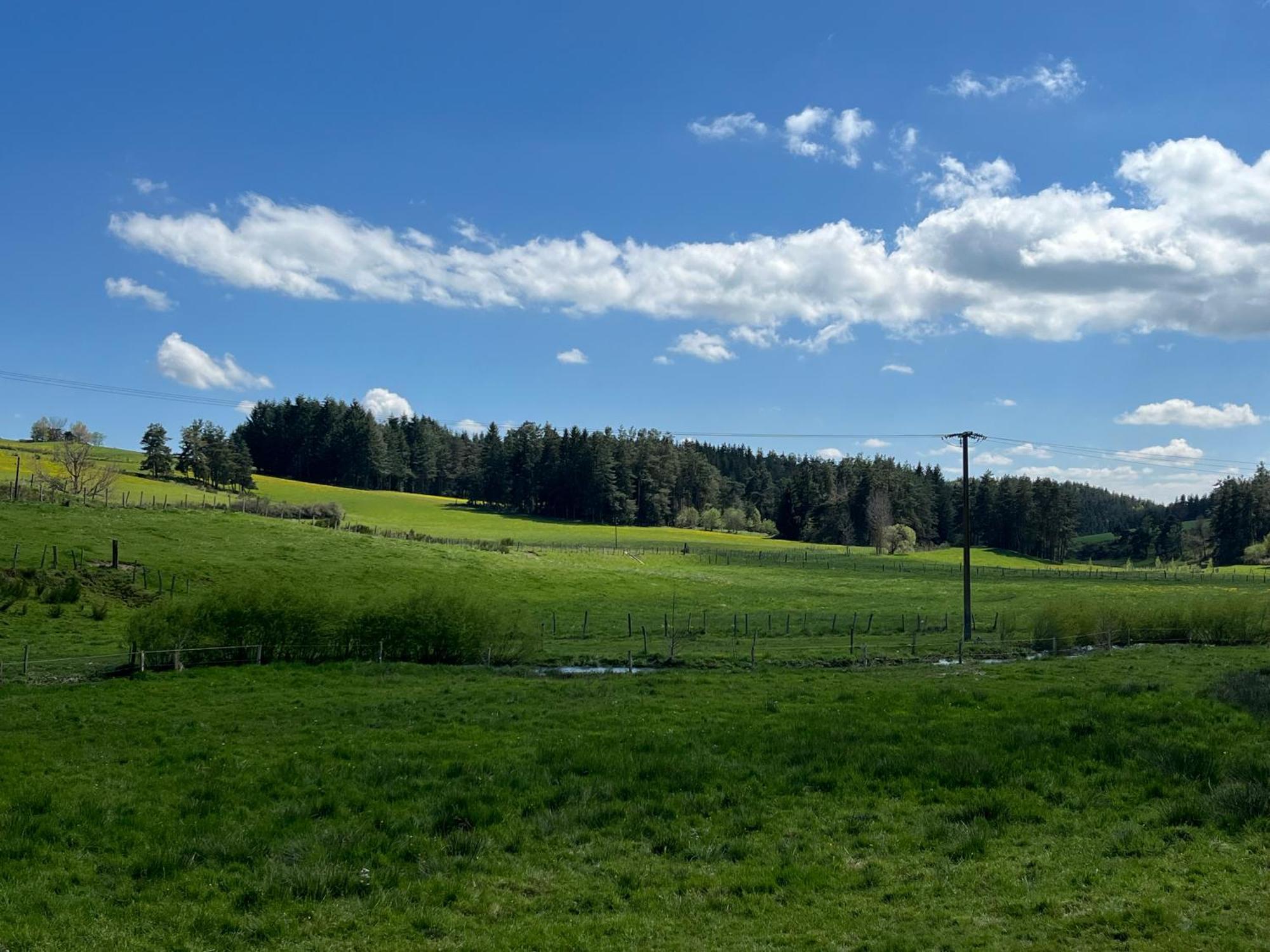 Loft Du Moulin Chandy Villa Usson-en-Forez Eksteriør bilde