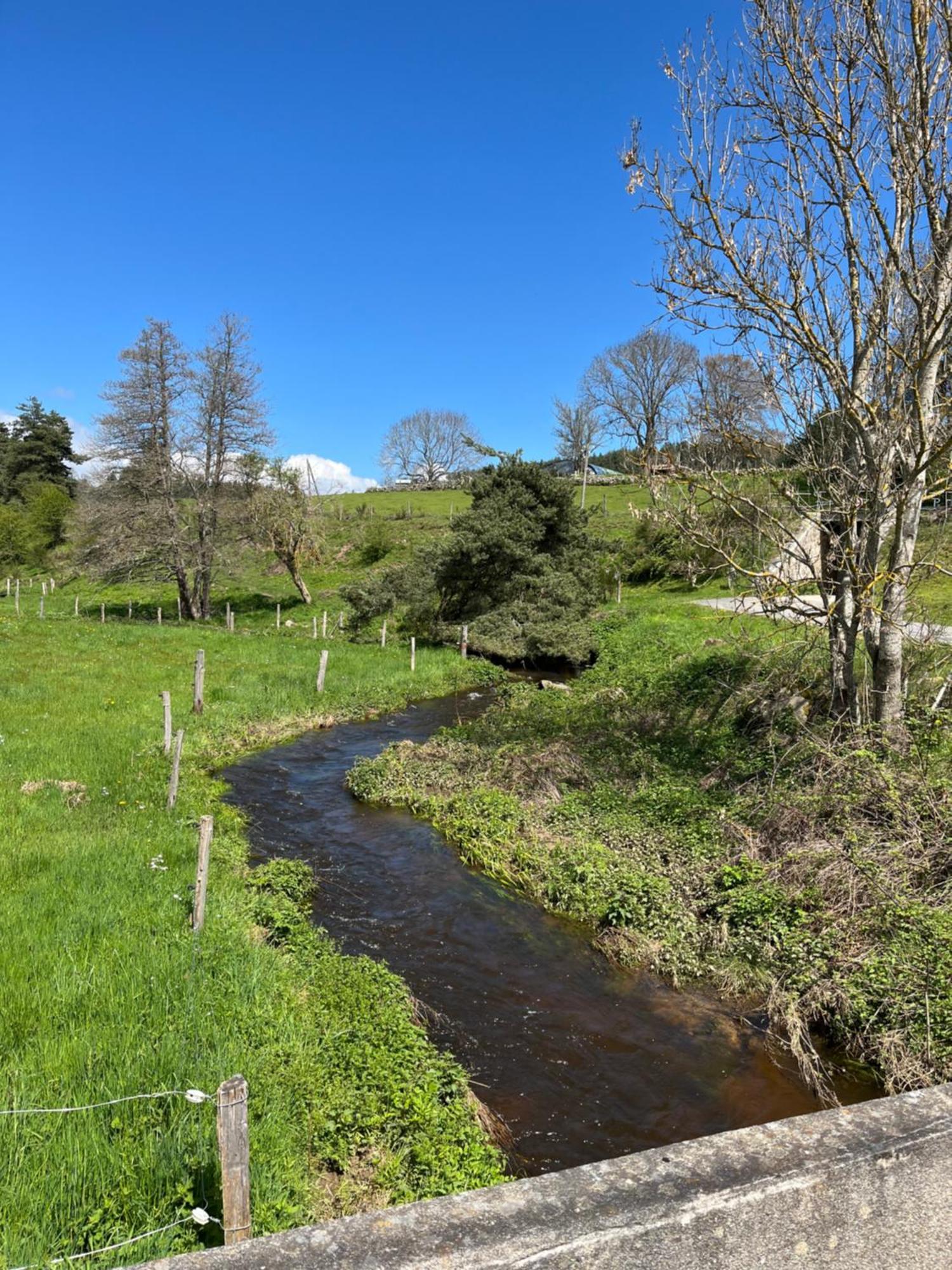 Loft Du Moulin Chandy Villa Usson-en-Forez Eksteriør bilde